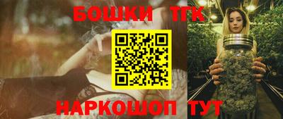 индика Гудермес