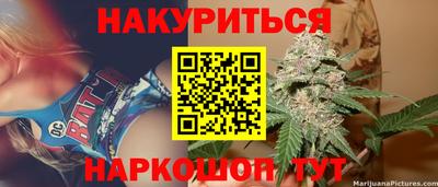 индика Гудермес