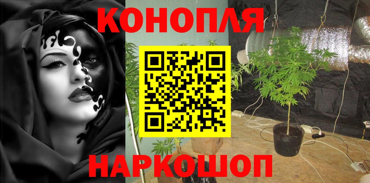 Канабис конопля Добрянка